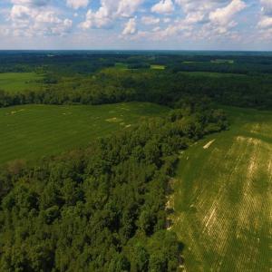Photo of UNDER CONTRACT!  128.25 Acres of Farm and Timber Land For Sale In Wilson County NC!
