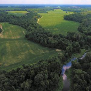 Photo of UNDER CONTRACT!  128.25 Acres of Farm and Timber Land For Sale In Wilson County NC!