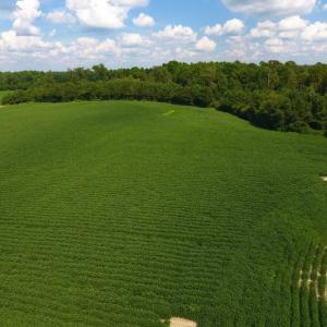 Photo of UNDER CONTRACT!  128.25 Acres of Farm and Timber Land For Sale In Wilson County NC!