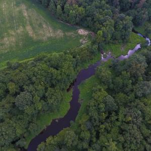 Photo of UNDER CONTRACT!  128.25 Acres of Farm and Timber Land For Sale In Wilson County NC!