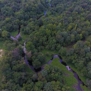 Photo of UNDER CONTRACT!  128.25 Acres of Farm and Timber Land For Sale In Wilson County NC!