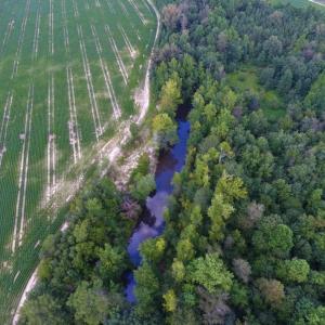 Photo of UNDER CONTRACT!  128.25 Acres of Farm and Timber Land For Sale In Wilson County NC!
