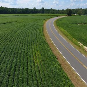 Photo of UNDER CONTRACT!  128.25 Acres of Farm and Timber Land For Sale In Wilson County NC!