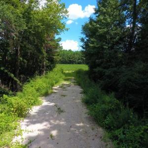 Photo of UNDER CONTRACT!  128.25 Acres of Farm and Timber Land For Sale In Wilson County NC!