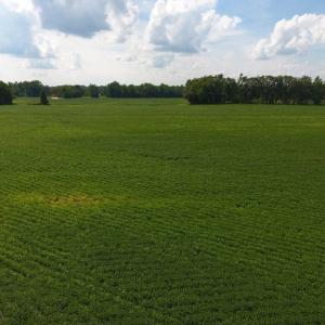 Photo of UNDER CONTRACT!  128.25 Acres of Farm and Timber Land For Sale In Wilson County NC!