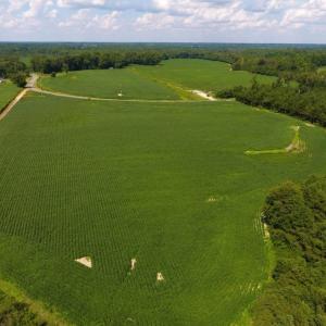 Photo of UNDER CONTRACT!  128.25 Acres of Farm and Timber Land For Sale In Wilson County NC!