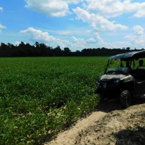 Photo of UNDER CONTRACT!  128.25 Acres of Farm and Timber Land For Sale In Wilson County NC!
