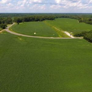 Photo of UNDER CONTRACT!  128.25 Acres of Farm and Timber Land For Sale In Wilson County NC!