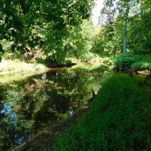 Photo of UNDER CONTRACT!  128.25 Acres of Farm and Timber Land For Sale In Wilson County NC!
