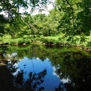 Photo of UNDER CONTRACT!  128.25 Acres of Farm and Timber Land For Sale In Wilson County NC!