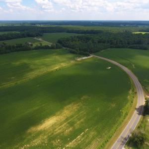 Photo of UNDER CONTRACT!  128.25 Acres of Farm and Timber Land For Sale In Wilson County NC!