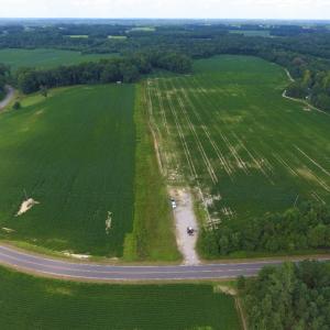 Photo of UNDER CONTRACT!  128.25 Acres of Farm and Timber Land For Sale In Wilson County NC!
