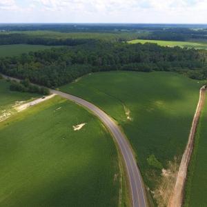 Photo of UNDER CONTRACT!  128.25 Acres of Farm and Timber Land For Sale In Wilson County NC!
