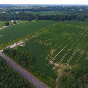 Photo of UNDER CONTRACT!  128.25 Acres of Farm and Timber Land For Sale In Wilson County NC!