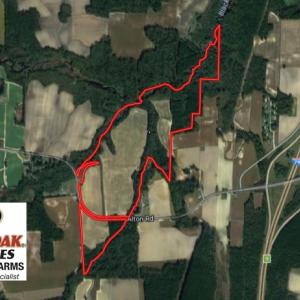 Photo of UNDER CONTRACT!  128.25 Acres of Farm and Timber Land For Sale In Wilson County NC!