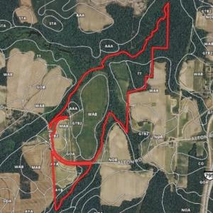 Photo of UNDER CONTRACT!  128.25 Acres of Farm and Timber Land For Sale In Wilson County NC!