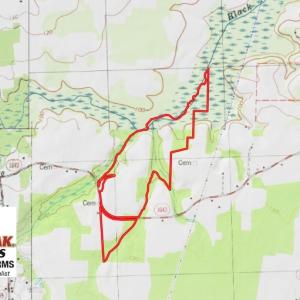 Photo of UNDER CONTRACT!  128.25 Acres of Farm and Timber Land For Sale In Wilson County NC!