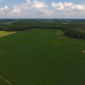 Photo of UNDER CONTRACT!  347.8 Acres of Farm and Timber Land For Sale in Wilson County NC!