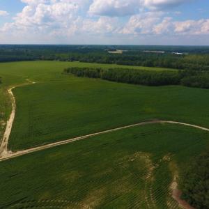 Photo of UNDER CONTRACT!  347.8 Acres of Farm and Timber Land For Sale in Wilson County NC!