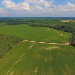 Photo of UNDER CONTRACT!  347.8 Acres of Farm and Timber Land For Sale in Wilson County NC!