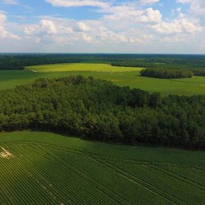 Photo of UNDER CONTRACT!  347.8 Acres of Farm and Timber Land For Sale in Wilson County NC!