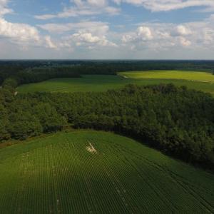 Photo of UNDER CONTRACT!  347.8 Acres of Farm and Timber Land For Sale in Wilson County NC!