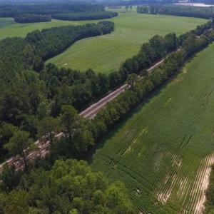Photo of UNDER CONTRACT!  347.8 Acres of Farm and Timber Land For Sale in Wilson County NC!