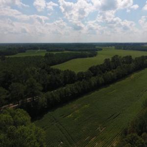 Photo of UNDER CONTRACT!  347.8 Acres of Farm and Timber Land For Sale in Wilson County NC!