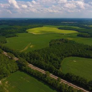 Photo of UNDER CONTRACT!  347.8 Acres of Farm and Timber Land For Sale in Wilson County NC!