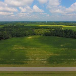 Photo of UNDER CONTRACT!  347.8 Acres of Farm and Timber Land For Sale in Wilson County NC!