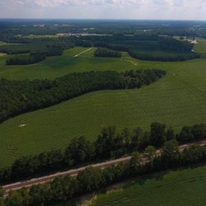 Photo of UNDER CONTRACT!  347.8 Acres of Farm and Timber Land For Sale in Wilson County NC!