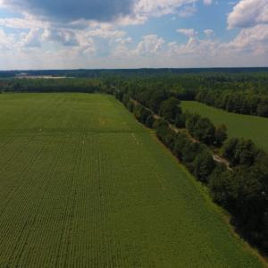 Photo of UNDER CONTRACT!  347.8 Acres of Farm and Timber Land For Sale in Wilson County NC!