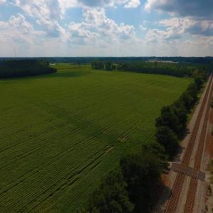 Photo of UNDER CONTRACT!  347.8 Acres of Farm and Timber Land For Sale in Wilson County NC!