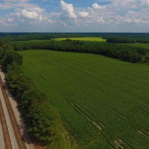 Photo of UNDER CONTRACT!  347.8 Acres of Farm and Timber Land For Sale in Wilson County NC!