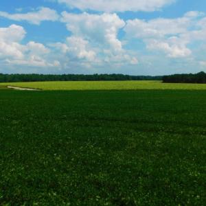 Photo of UNDER CONTRACT!  347.8 Acres of Farm and Timber Land For Sale in Wilson County NC!