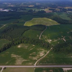 Photo of UNDER CONTRACT!  347.8 Acres of Farm and Timber Land For Sale in Wilson County NC!