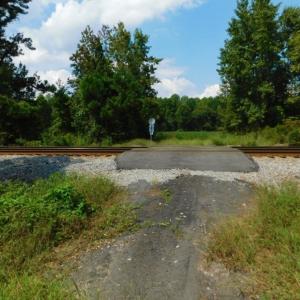 Photo of UNDER CONTRACT!  347.8 Acres of Farm and Timber Land For Sale in Wilson County NC!