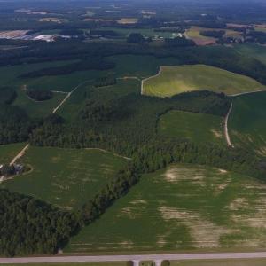 Photo of UNDER CONTRACT!  347.8 Acres of Farm and Timber Land For Sale in Wilson County NC!