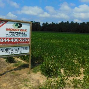 Photo of UNDER CONTRACT!  347.8 Acres of Farm and Timber Land For Sale in Wilson County NC!
