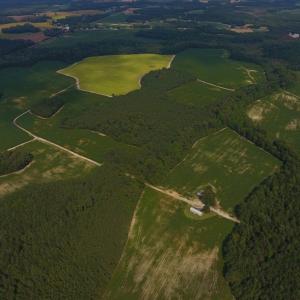 Photo of UNDER CONTRACT!  347.8 Acres of Farm and Timber Land For Sale in Wilson County NC!