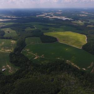 Photo of UNDER CONTRACT!  347.8 Acres of Farm and Timber Land For Sale in Wilson County NC!