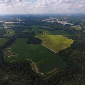 Photo of UNDER CONTRACT!  347.8 Acres of Farm and Timber Land For Sale in Wilson County NC!