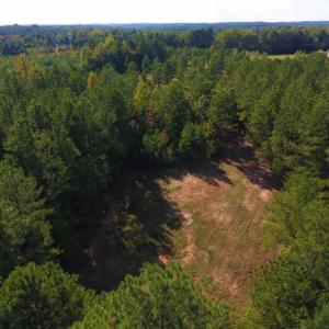 Photo of UNDER CONTRACT!  40.49 Acres of Timber and Hunting Land For Sale in Warren County NC!