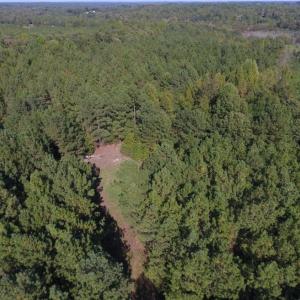 Photo of UNDER CONTRACT!  40.49 Acres of Timber and Hunting Land For Sale in Warren County NC!