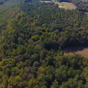Photo of UNDER CONTRACT!  40.49 Acres of Timber and Hunting Land For Sale in Warren County NC!