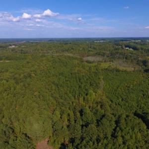 Photo of UNDER CONTRACT!  40.49 Acres of Timber and Hunting Land For Sale in Warren County NC!