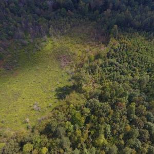 Photo of UNDER CONTRACT!  40.49 Acres of Timber and Hunting Land For Sale in Warren County NC!