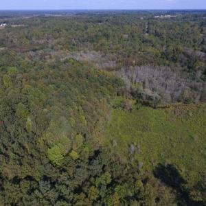 Photo of UNDER CONTRACT!  40.49 Acres of Timber and Hunting Land For Sale in Warren County NC!