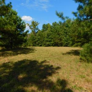 Photo of UNDER CONTRACT!  40.49 Acres of Timber and Hunting Land For Sale in Warren County NC!