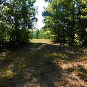 Photo of UNDER CONTRACT!  40.49 Acres of Timber and Hunting Land For Sale in Warren County NC!